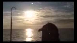 IMG 0429 1