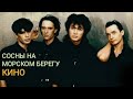 Сосны на морском берегу-Виктор Цой-Кино обработка звука