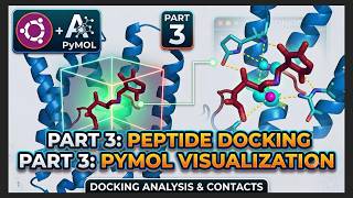 Visualize & Analyze Peptide Docking Results in PyMOL | Step-by-Step Tutorial | Part 3