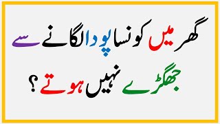 Islamic Common Sense Paheliyan in Urdu | Islamic Question and Answer | General Knowledge #065