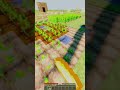странный огород уже не маленький #minecraftshorts #minecraftshorts #модынамайнкрафт #майнкрафт