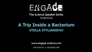 A Trip Inside a Bacterium by Stella Stylianidou