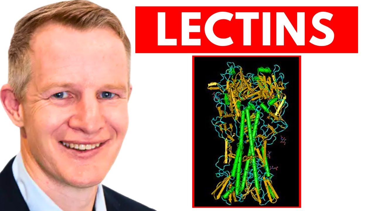 How Do Lectins affect our Health - Dr Paul Mason