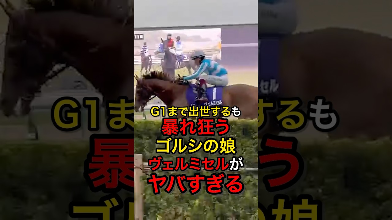天皇賞にまで出世するも暴れ狂うゴルシの娘ヴェルミセルがヤバすぎるwww#競馬 #ウマ娘 #ゴールドシップ #ゴールドシップ産駒 #ヴェルミセル#ゴルシ産駒