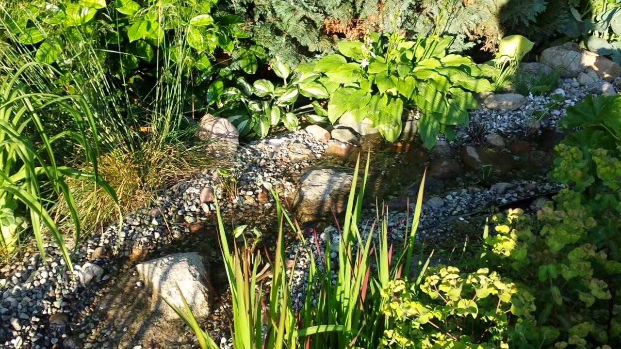 Unser Teich mit Bachlauf - YouTube