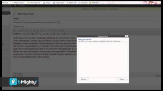 Wordpress 101 Part 4.2 - Creating a New Post Net Worth