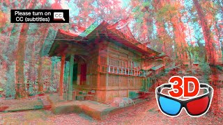 Anaglyph 3D Video - My favorite Shrine / red-cyan  glasses