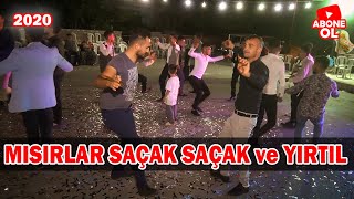 MISIRLAR SAÇAK SAÇAK ve YIRTIL 🎶 Mevlüt Taşpınar Resimi