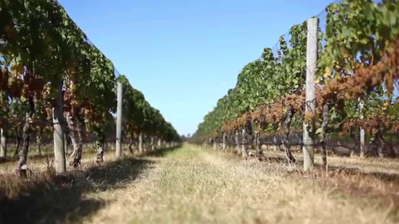 Oregon Road, Cutchogue Hamptons Real Estate YouTube