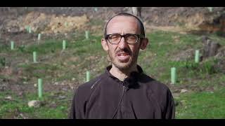 Mata do Sobral, floresta, manutenção e futuro