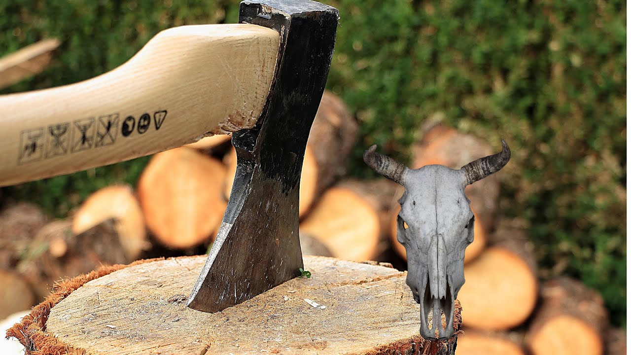 Welches Tier verliert seinen Kopf und dieser krabbelt einfach weiter? YouTube Welches Tier verliert seinen Kopf und dieser krabbelt einfach weiter? YouTube