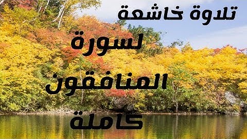 سورة المنافقون كاملة بصوت ملائكي من الجنه