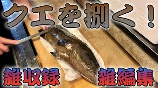 【捌く！】雑収録雑編集で高級魚クエ（養殖）を捌く！