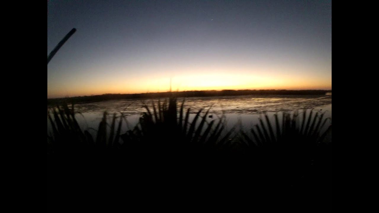 Louisiana Youth Duck Hunt (limited in 36 min!) YouTube