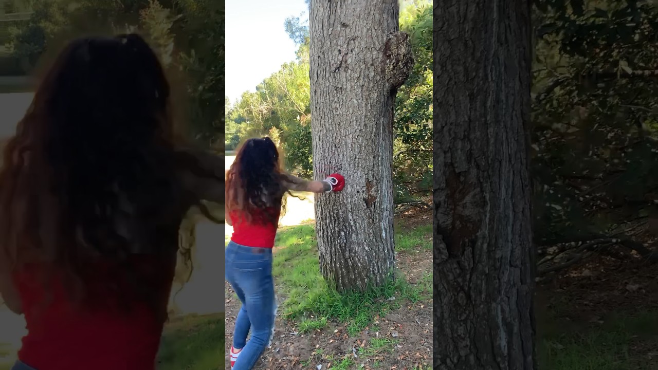 Tree Hit - How Did This Happen? 