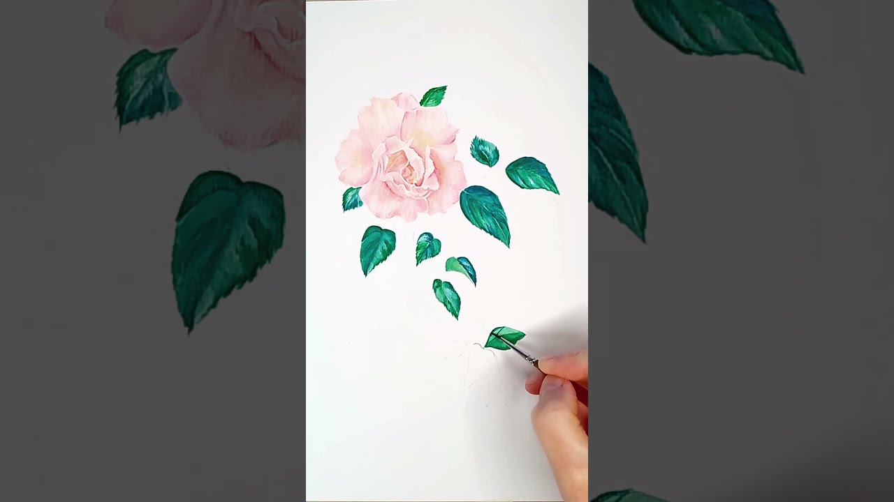 Pink Rose Watercolour | Timelapse Painting