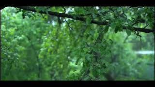 #SLOWMOTION RAIN - VIDEO CINEMATIC RAIN