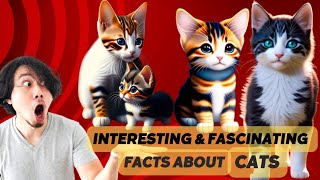 Interesting And Fascinating Facts About Cats by Pups & Pets 14 views 10 months ago 6 minutes, 1 second