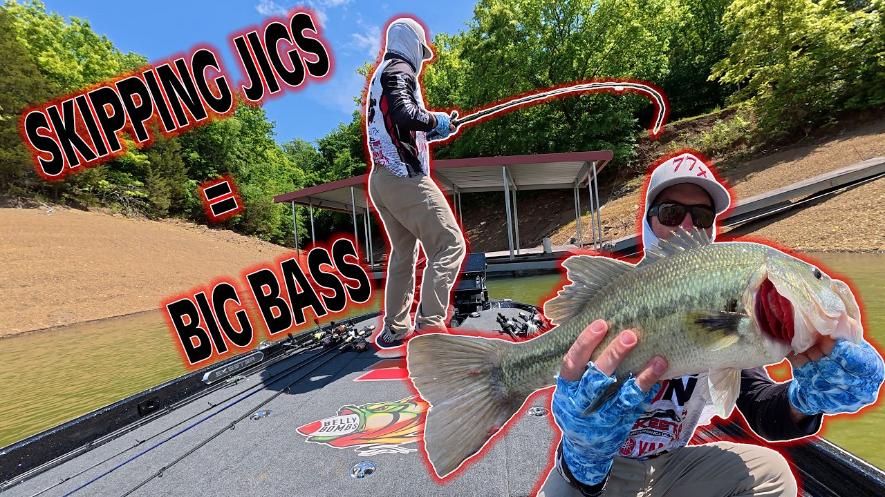 BIG BASS on Jigs (Douglas Lake bass tourney) day Two