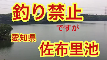تحميل ブラックバス 釣り禁止ポイント 竜巻池 釣禁です 小幡緑地 Mp4 Mp3 تحميل ブラックバス 釣り禁止ポイント 竜巻池 釣禁です 小幡緑地 Mp4 Mp3
