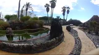 Cannabis en Puerto del Carmen, Lanzarote, tfno. 600 31 65 15