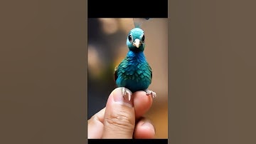 Peacock dancing | AI video #song #kids