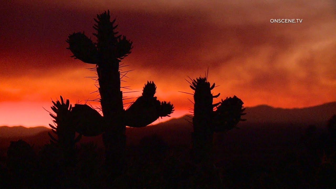 Brush Fire Grows To 60+ Acres In Camp Pendleton - YouTube