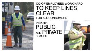 Vegetation management
