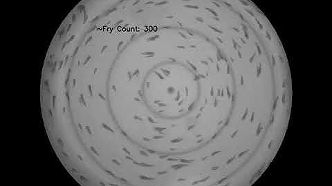 Fish Fry Detector and Count Classifier