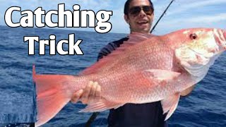 Video thumbnail of "fish trap | fishing with norm | fish farming at home | saltwater fishing | #Asstarblog #fish_catch"