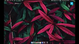 How to use the floating screenshot thumbnail on macOS