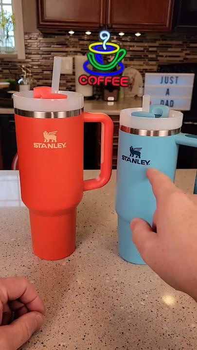 Stanley 30 oz Tumbler with Handle & Straw Lid NEW Pool Color Review 