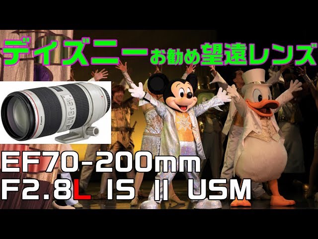 ✨高速連写撮影に✨Canon EOS 40D✨ダブルレンズ✨ディズニーパレードに RF100-400mm F5.6-8 IS USMでディズニーシーのパレードを撮影してみた
