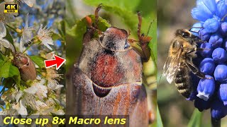 Macro Video Panasonic Vxf1 Plus Close Up 8X Lens Zomei