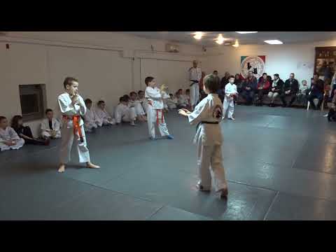 Klub realnog aikidoa i ju-jutsu Novi Sad Polaganje februar 2022 I i II grupa dece 10/12