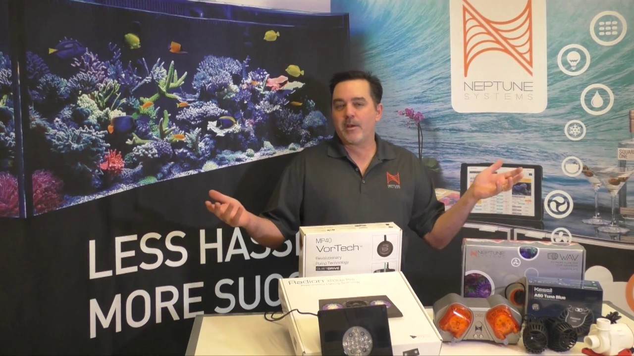 saltwater sushi & burger Tech Tip - Schemes in Apex Fusion