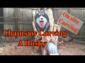 Carving a Husky in a stump ! Carving a Husky in a stump !