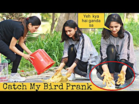 Grab My Pigeon Prank@crazycomedy9838