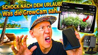 Oh SH*** 😱 Pflanzen allein gelassen: Überleben meine Pflanzen ohne Gießen?!