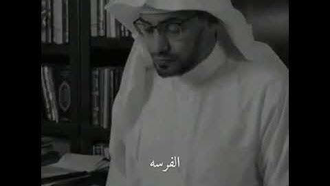حالات واتس اب عن ليلة القدر 🌙 فضل ليلة القدر | دعاء ليلة القدر | ستوريات ليلة القدر | سورة القدر