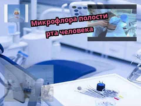 Микрофлора полости рта человека