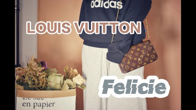 ❤️COMPARISON- Louis Vuitton Totally PM vs MM 