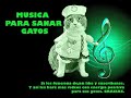 MUSICOTERAPIA PARA CURAR SANAR GATOS ENFERMOS - MÚSICA PARA GATOS 2020  (larga duración) sin publi