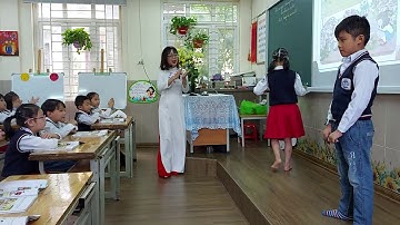 Tiết TNXH Bài Trường học của em (tiết 2) - tuần 8