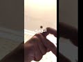 قلبي انا ما الوامه اذا ضيع علومه تصميمي تصميم ايموفي