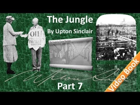 Part 7 - The Jungle by Upton Sinclair (Chs 26-28)