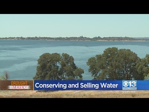 Why Are Local Water Agencies Selling Water While Residents Are Being Asked To Conserve?