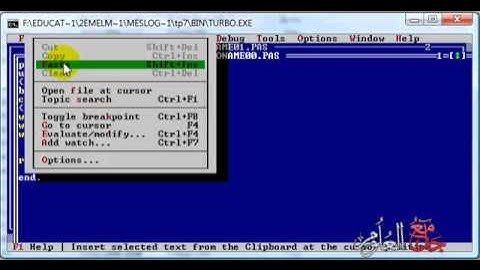 في الباسكال read و write درس