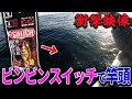 【衝撃！もはやチート！！】今話題の入手困難ビンビンスイッチで竿頭です。釣れるとです。