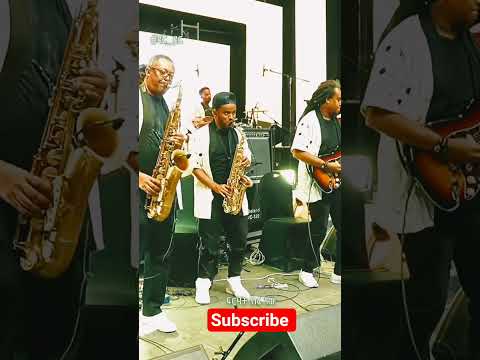 ዳር ዳር Dawit Tsige Stage Performance Shorts Ebs AfricanMusic